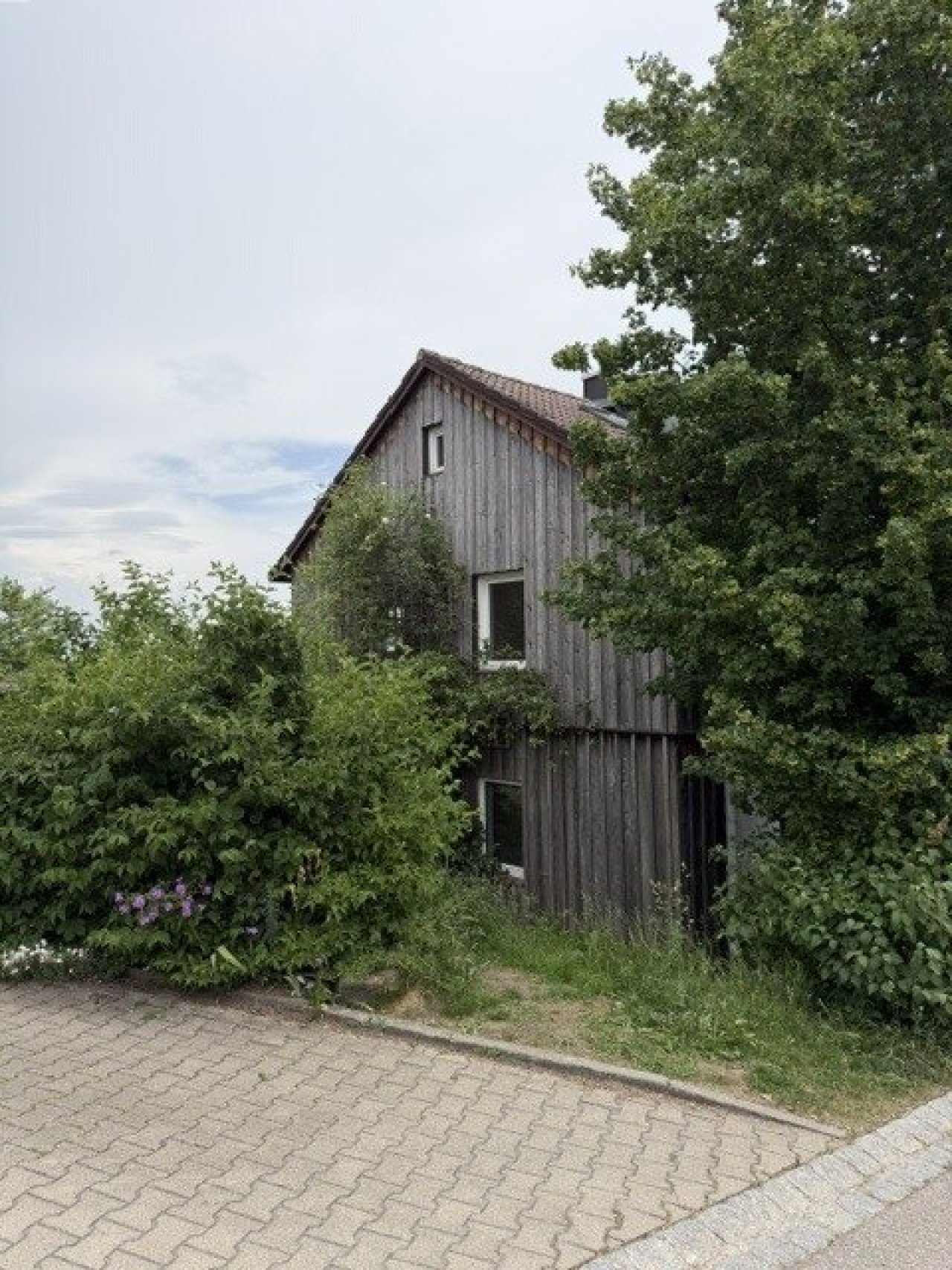 IMG 0247 IMG 0247