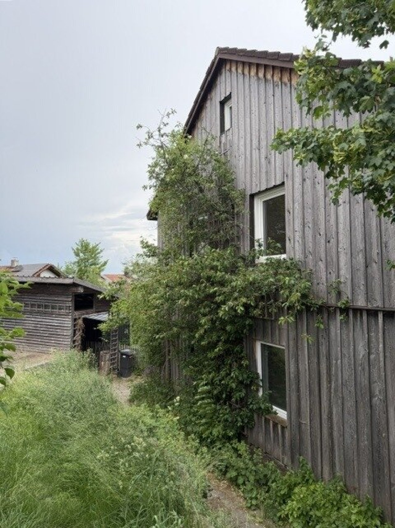 IMG 0253 IMG 0253